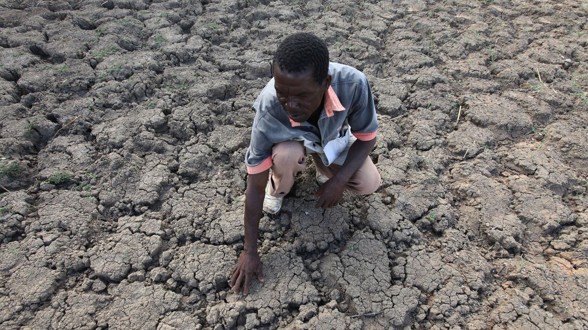 Kvůli extrémnímu suchu na jihu Afriky trpí hladomorem miliony lidí